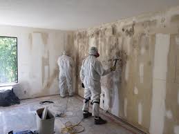 Best Mold Odor Removal Services  in Crafton, PA